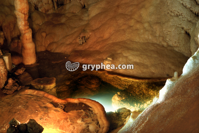 Gour Grotte de Clamouse - gryphea.org